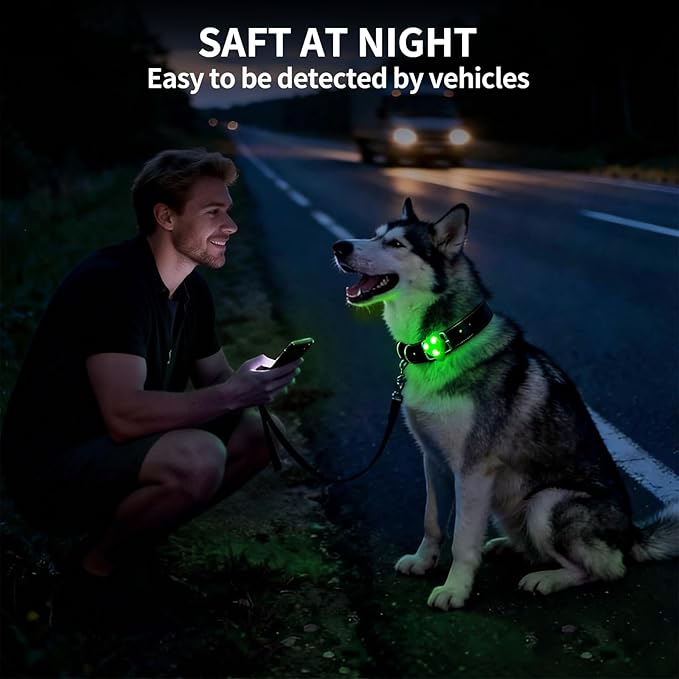 LaRoo LED Dog Collar Light - Waterproof Clip-On Night Walking Light with 3 Modes, High Visibility for Small/Medium Dogs,Pet Nighttime Running Camping Essentials (Green)