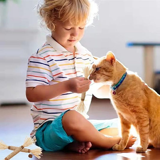 Cat Toys 21Pack Silvervine Chew Stick Kitten Treat Catnip Toy Kitty Natural Stuff Catnip Matatabi for Cleaning Teeth Indoor Dental Snack Interactive