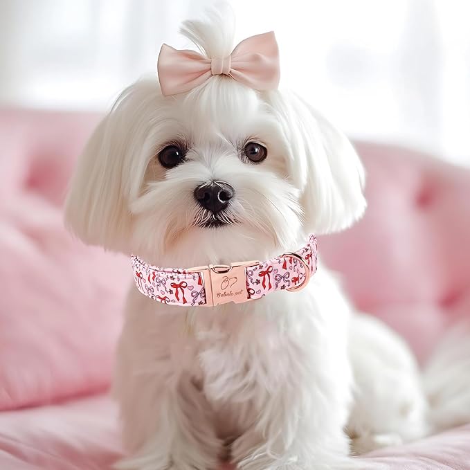 Pink Dog Collar for Female Small Dogs - Cute Bow Pattern Girl Dog Collar for Spring Summer, Adjustable Heavy Duty Pet Valentines Collars with Metal Buckle XS