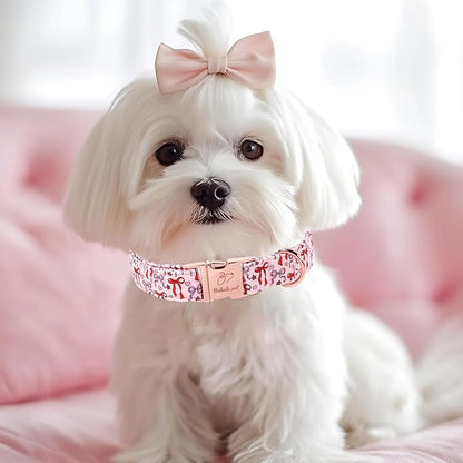 Pink Dog Collar for Female Small Dogs - Cute Bow Pattern Girl Dog Collar for Spring Summer, Adjustable Heavy Duty Pet Valentines Collars with Metal Buckle XS