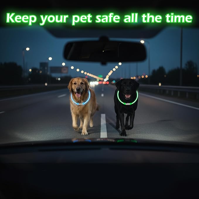 Rechargeable Reflective Pet Gear LED Dog Collar Light Up, Flashing Glowing Illuminated Collar for Night Walking, Neon Pet Collar with Light for Small/Medium/Large Dogs (Green, 1-Pack)
