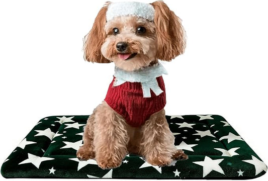 Dog Bed Mat, Reversible Dog Crate Pad with Washable Kennel Mat and Soft Foam, Pet Bed for Dogs & Cats, for Crates Carriers & Travel (Big&Small Stars Green, 24" L*18" W*1.5" Th)
