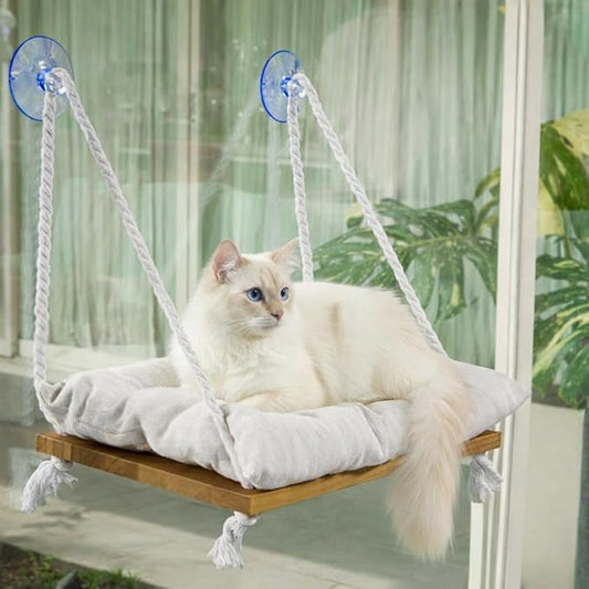 Cat Window Perch