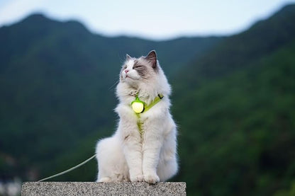 LaRoo LED Dog Collar Charm, Rechargeable Light with 3 Modes, Natural Rubber Pet Safety Light, 5 Hour Glow(Yellow)