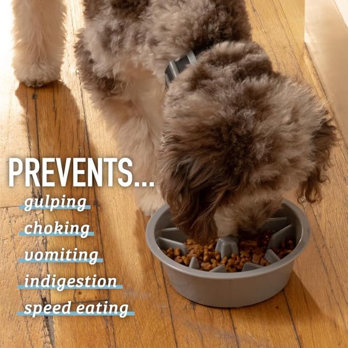 Leash Boss Slow Feeder Dog Bowls - 2 Cup, Puzzle Dog Food Bowl with Feeder Holes, Fits into Elevated Pet Feeders, Slow Eating for Large, Medium & Small Sized Breeds, Blue