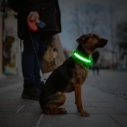 LED Dog Collar, USB Rechargeable Light Up Dog Collars, Adjustable Glow Collars for Dogs, Reusable Safety Dog Collar for Small, Medium, Large Dogs (Green, Small)