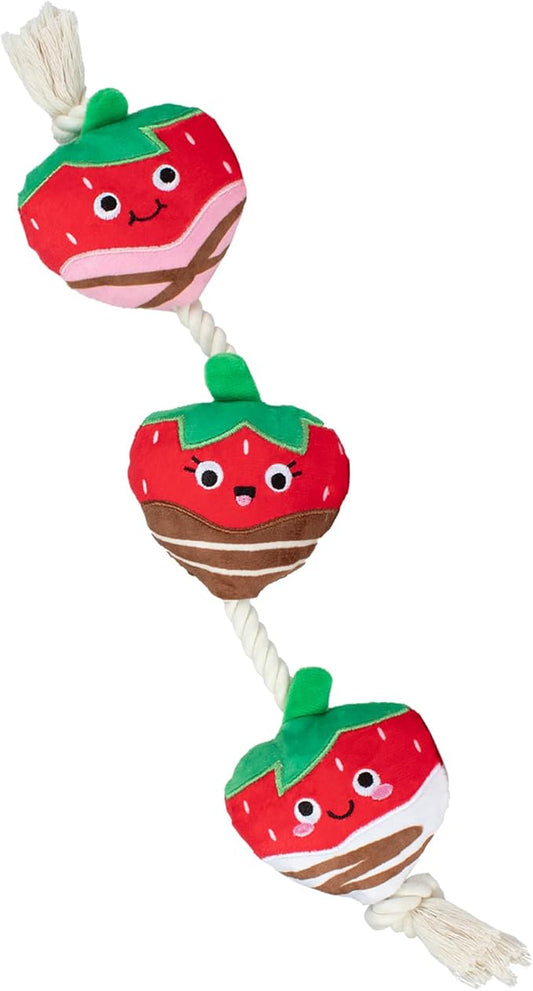 Fringe Studio Plush Dog Toy with Rope, Covered with Love, Petshop Collection (314495)