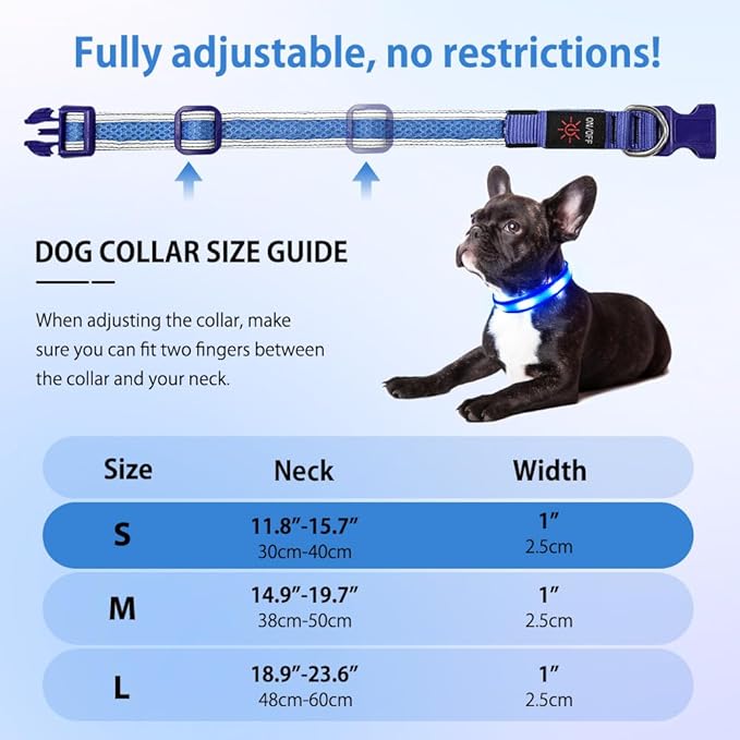 Illumifun Light Up Dog Collar, USB Rechargeable LED Dog Collar Glow in The Dark, Reflcetive Safety Glow Collar for Dogs Walking at Night (Small, Light Blue)