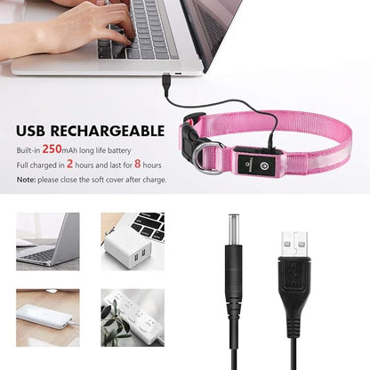 MASBRILL Light Up Dog Collar, LED Glow Collar with USB Rechargeable Lighted Bright Flashing Pink Dog Collar Waterproof for Small Medium Large Dogs, 4 Colors with 3 Sizes (S(0.98 * 15.75"), Pink)