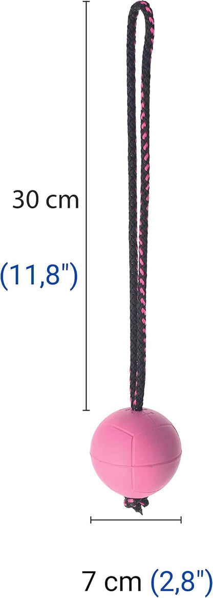 Dingo BIBI Ball for Dog Training, Floating, Retrieving Toy for Dog, Soft Rubber and Rope Handle, Pink Color 17251