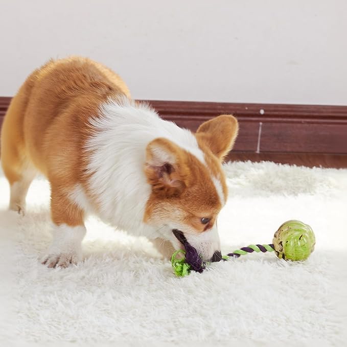 LOS ANDES Rope and Ball Dog Toy, Interactive Puppy Toy for Tug of War, Eco-Friendly Cotton Rope Toys, Medium/Small Dog Breed, Not Suitable for Dogs with Strong Aggressive Chewing