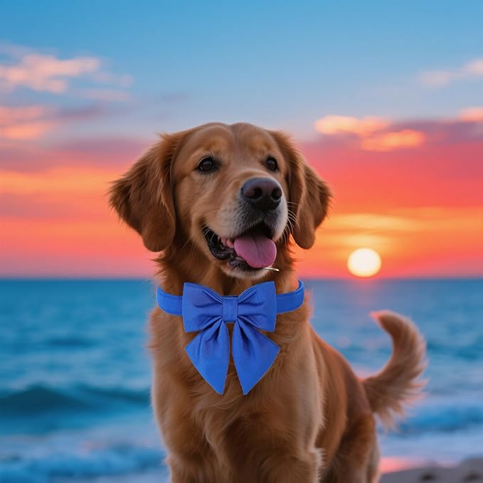 Maca Bates Klein Blue Dog Collar with Cute Solid Sailor Bow Tie for Extra Small Girl Boy Dogs,Adjustbale Durable Breakaway Soft Collars with Bowtie for Female Male Puppy,Pet with Metal Buckle