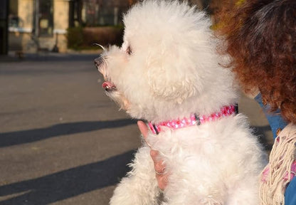 Dog Collar - Adjustable Heart Dog Collar - Love Theme - Perfect for Small Medium Large Dogs(Pink Heart,L)