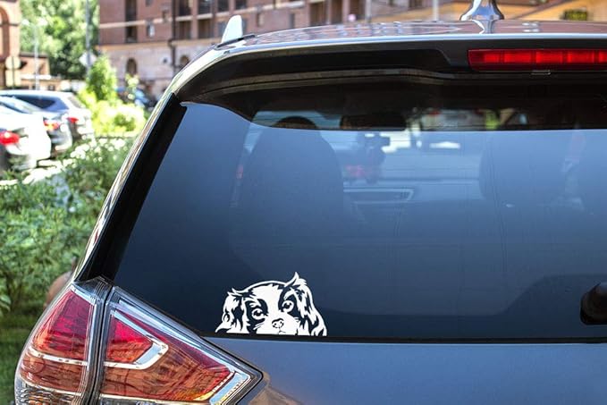 WIRESTER 6 inch Clear Vinyl Decal Sticker Decoration for Car Window (Or Any Flat Surface) - Cavalier King Charles Spaniels Dog