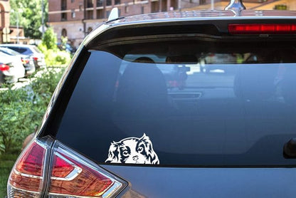 WIRESTER 6 inch Clear Vinyl Decal Sticker Decoration for Car Window (Or Any Flat Surface) - Cavalier King Charles Spaniels Dog