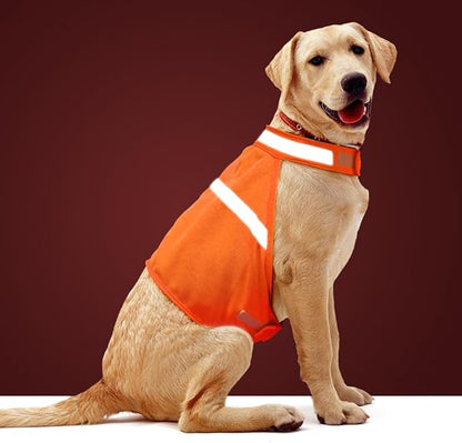 Dog Jacket High Visibility Safety Reflective Dog Vest for Small Medium Large Dogs (X-Large, Orange)