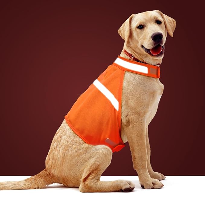 Dog Jacket High Visibility Safety Reflective Dog Vest for Small Medium Large Dogs (Small, Orange)