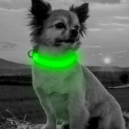 BSEEN Adjustable LED Dog & Cat Collar - Rechargeable, Small Breeds, Green, 8.5-11.8 inches, Nylon, Lightweight, Reflective, 2 Flash Modes