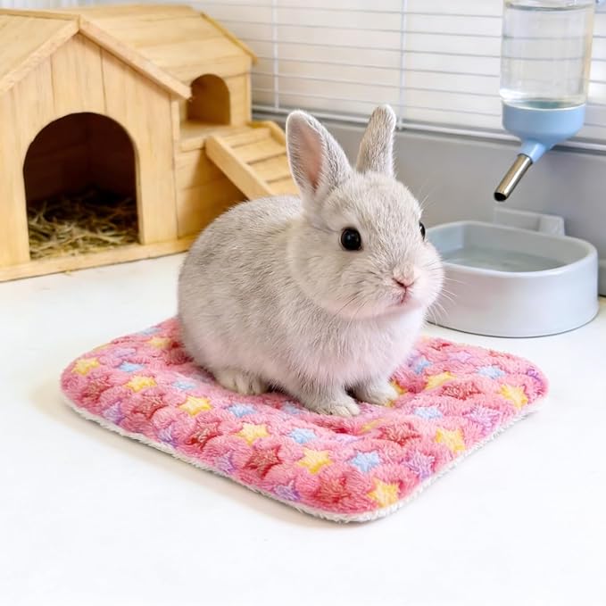 Guinea Pig Bed, 2 Pack (12x10 Inch) Soft Plush Small Animal Bed Mat, Washable Bedding Blanket Sleeping Warm Pad for Bunny, Rat, Ferret, Chinchilla