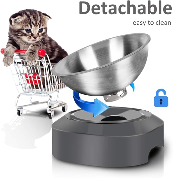 AYADA Raised Cat Food Bowl, Stainless Steel Cat Dish for Food Water Anti Vomiting Elevated with Stand Ergonomic Lifted Slanted Tilted 15 Angle Metal Single Kitty Kitten Wet Food Bowl Pet Bowl (Single)
