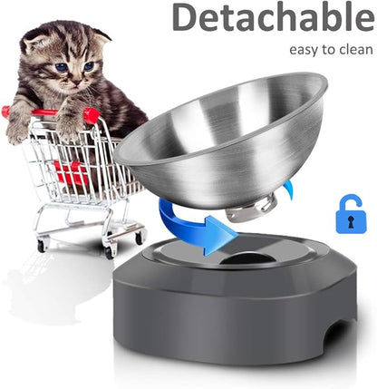AYADA Raised Cat Food Bowl, Stainless Steel Cat Dish for Food Water Anti Vomiting Elevated with Stand Ergonomic Lifted Slanted Tilted 15 Angle Metal Single Kitty Kitten Wet Food Bowl Pet Bowl (Single)