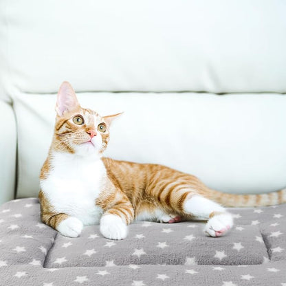 2 Pack Cat Blanket for Indoor Cats Ultra Soft and Warm Calming Cat Bed Fleece Pet Mat for Anxiety and Stress Washable Kitten Blanket