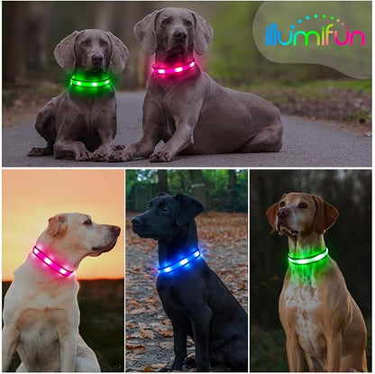 Illumifun Light Up Dog Collar - USB Rechargeable LED Dog Collar Glow in The Dark - High Visibility Glow Collar for Night Walking (Small, Fluorescent Green)