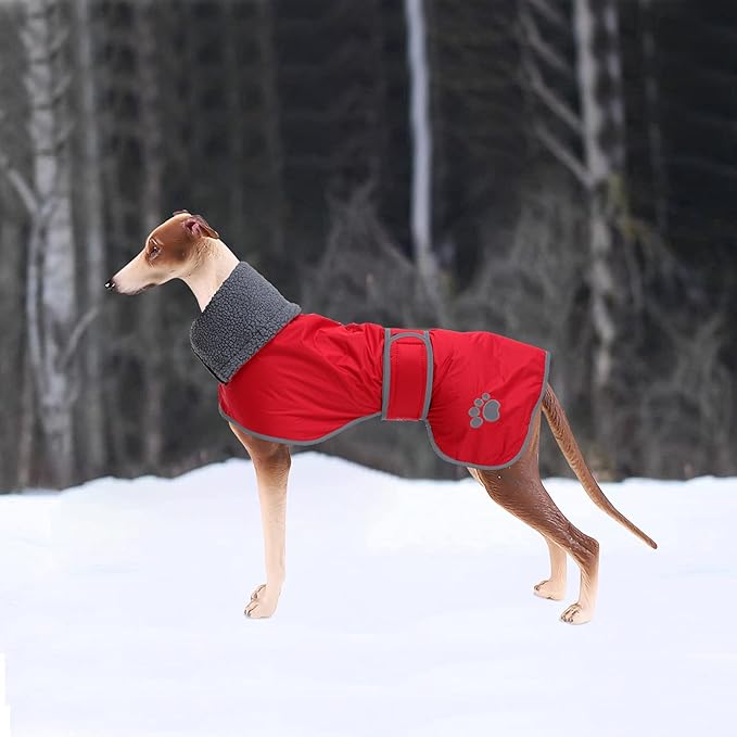 Geyecete Dog Winter Coat Greyhound Raincoat Fabric with Lamb Velvet Inside Outdoor Dog Apparel with Adjustable Bands for Medium, Large Dog-Red-S