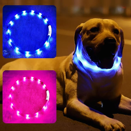2 Pack Light Up Dog Collars with 1640 Feet of Visibility - Brightest Glow Dog Collar Light, Rechargeable Dog Collar Light for Night Walking, 3 Flashing Modes, Keeps Your Pets Safe in The Dark