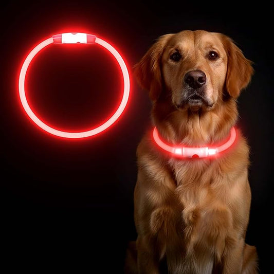 Rechargeable Reflective Pet Gear LED Dog Collar Light Up, Flashing Glowing Illuminated Collar for Night Walking, Neon Pet Collar with Light for Small/Medium/Large Dogs (Red, 1-Pack)