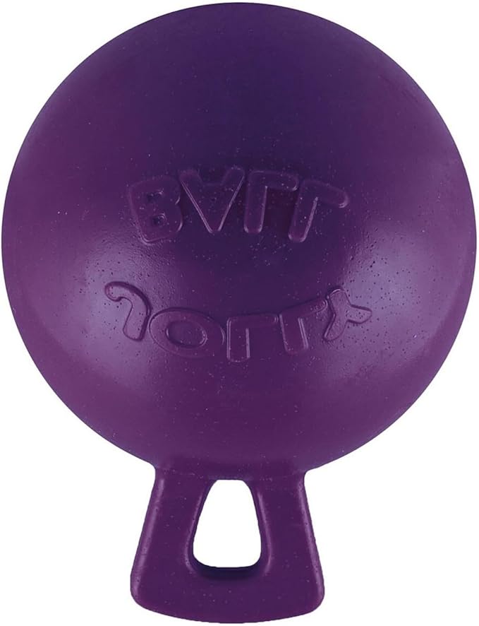 Tug-N-Toss Ball Color: Purple, Size: 6" H x 4.5" W x 4.5" D