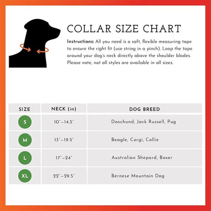 SPOT THE DOG! Reflective Dog Collar - Adjustable Pet Collars, Safe, Durable, Comfortable Dog Walking Accessories for Large Dog, Hunting Dog, Puppy, Lightweight Boy, Girl Dog Collars (Blaze Orange, XL)