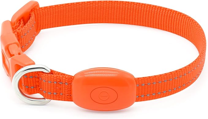 BSEEN Light Up Dog Collar, Rechargeable LED Dog Collar Glowing Cat Collars Reflective Puppy Collar Safety Dog Lights for Night Walking(Orange, XS)