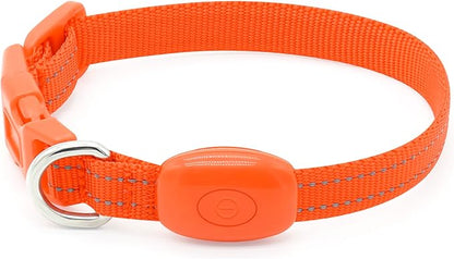 BSEEN Light Up Dog Collar, Rechargeable LED Dog Collar Glowing Cat Collars Reflective Puppy Collar Safety Dog Lights for Night Walking(Orange, XS)