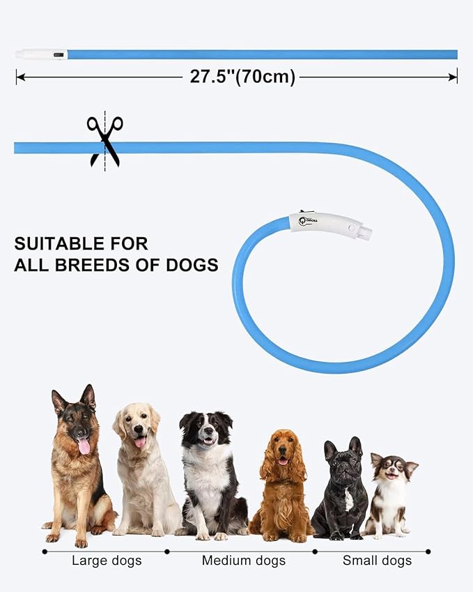 Joytale Light Up Dog Collar, Rechargeable Rainproof LED Collar for Night Walking Safety, Soft Silicone Glow in The Dark, Suitable for Small Medium Large Dogs, Blue