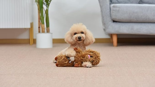 STAR WARS for Pets Chewbacca Plush Bobo Dog Toy with Squeaker | Chewbacca Toy for Dogs Dog Toys, Squeaky Dog Toys, Bobo Style Dog Toys, Dog Chew Toys, 12 Inch (FF19187)