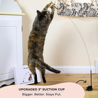 Whiskertons Interactive Bird Simulation Cat Toy Set, Interactive Cat Toys for Indoor Cats, Cat Feather Toy, Self-Holding Suction Base, 5 Replacement Birds, Feathers & Bells, Realistic Bird Impression