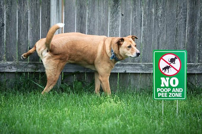 WaaHome No Poop and Pee Dog Sign - 8''X12'' Clean Up After Your Dog Sign with Metal Stakes - Please Pick Up After Your Dog Sign - Double Sided No Pooping and Peeing Dog Sign for Yard Lawn