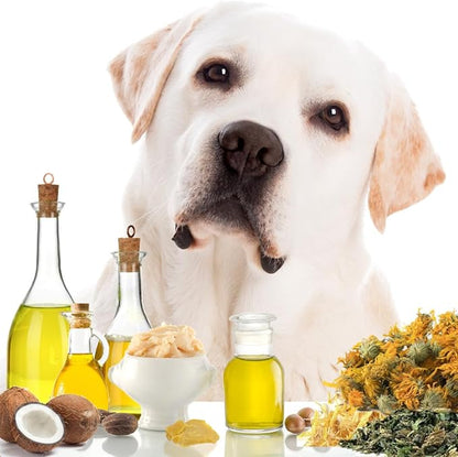 The Blissful Dog Paw Butter, Moisturizer for Dry Paw Pads, Softens and Protects a Rough Paw in Winter, Versatile, Lick-Safe Dog Pad Balm, 8 oz.