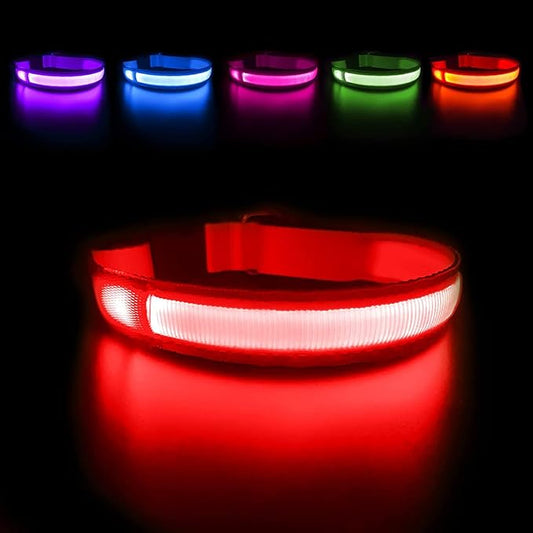 MASBRILL LED Dog Collar - Light Up, Rechargeable, Waterproof, Glow Collar for Small to Large Dogs