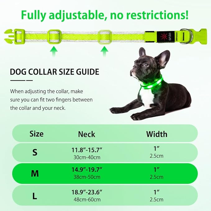Illumifun Light Up Dog Collar - USB Rechargeable Dog Light Glow in The Dark - High Visibility LED Dog Collar for Night Walking (Medium, Fluorescent Green)