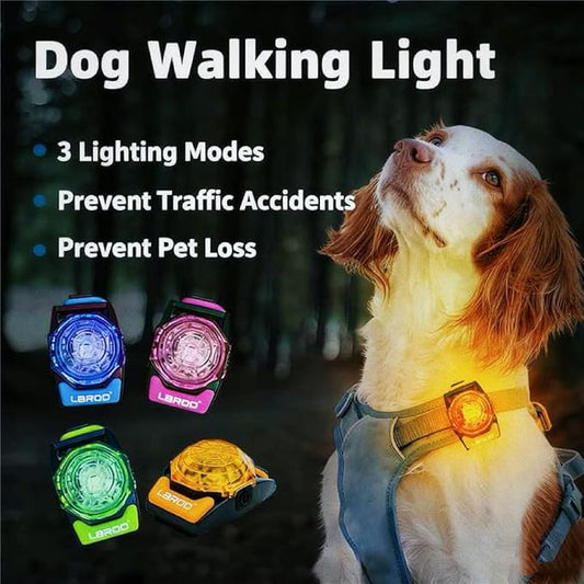 LaRoo Dog Collar Light for Night Walking - USB-C Rechargeable, 13g Ultra Light Waterproof LED Pet Safety Light with 3 Modes, Small Medium Dogs, Anti-Lost Pet Camping Running Essentials (Green)