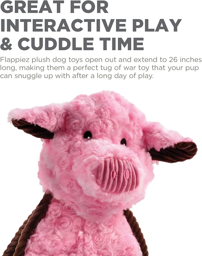 Outward Hound by Charming Pet Cuddle Tugs Pig Plush Interactive Dog Tug Toy