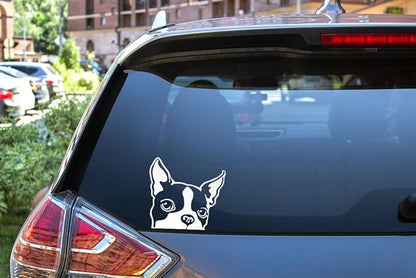 WIRESTER 6 inch Clear Vinyl Decal Sticker Decoration for Car Window (Or Any Flat Surface) - Boston Terrier Dog