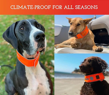 SPOT THE DOG! Reflective Dog Collar - Adjustable Pet Collars, Safe, Durable, Comfortable Dog Walking Accessories for Medium Dog, Hunting Dog, Puppy, Lightweight Boy, Girl Dog Collars (Blaze Orange, M)