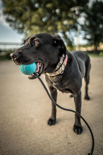 K9 Ops Dog Ball on a Rope Moki Tug Toy - Solid Rubber Fetch Training Reward - Large Dogs Durable Indestructible Chewers Pitbull Dobermann Rottweiler Shepherd (Tiger Orange - Black Rope)