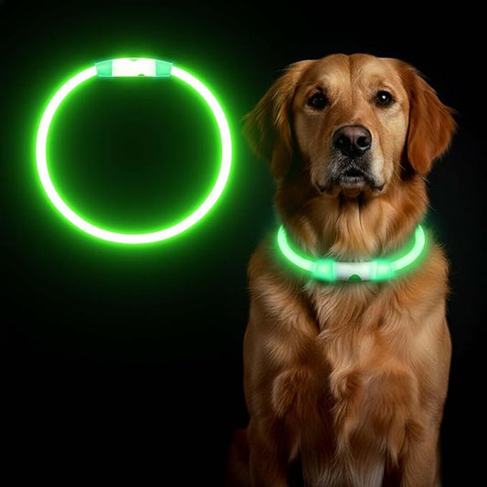 Rechargeable Reflective Pet Gear LED Dog Collar Light Up, Flashing Glowing Illuminated Collar for Night Walking, Neon Pet Collar with Light for Small/Medium/Large Dogs (Green, 1-Pack)