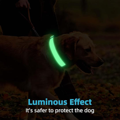 Personalized Dog Collars for Small & Large Dogs with Custom Name and Phone Numbers, Glow in The Dark Adjustable Glowing Luminous Collar(Fluorescent Glow)