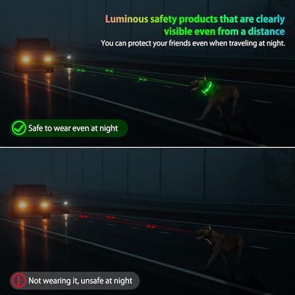 Illumifun Light Up Dog Collar - USB Rechargeable LED Dog Collar Glow in The Dark - High Visibility Glow Collar for Night Walking (Small, Fluorescent Green)