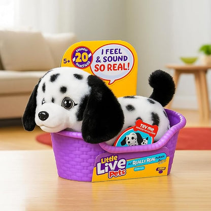 Little Live Pets My Really Real Puppy Mini Pepper The Dalmatian, Interactive Plush Toy with Basket, 20+ Sounds and Reactions, Puppy Toys for Kids